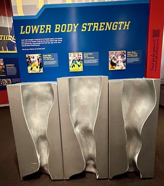 Lower Body Strength